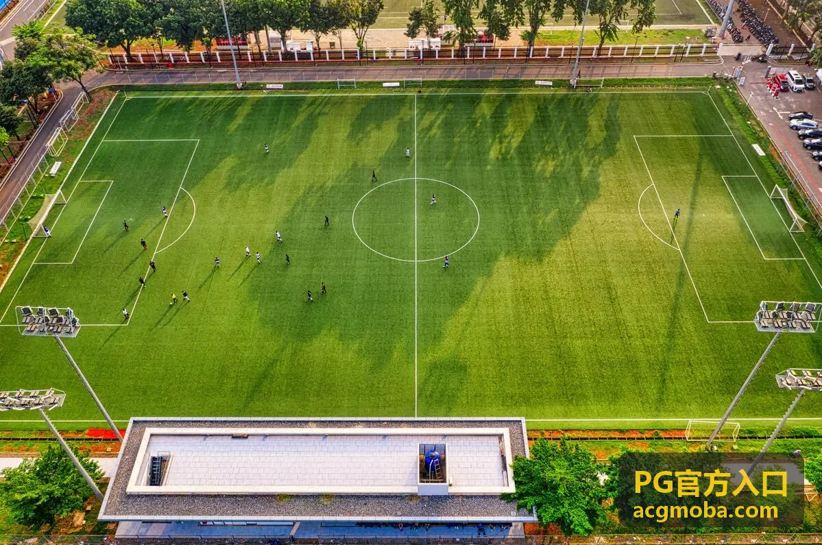 PG官方入口页面分类与状态核对示意